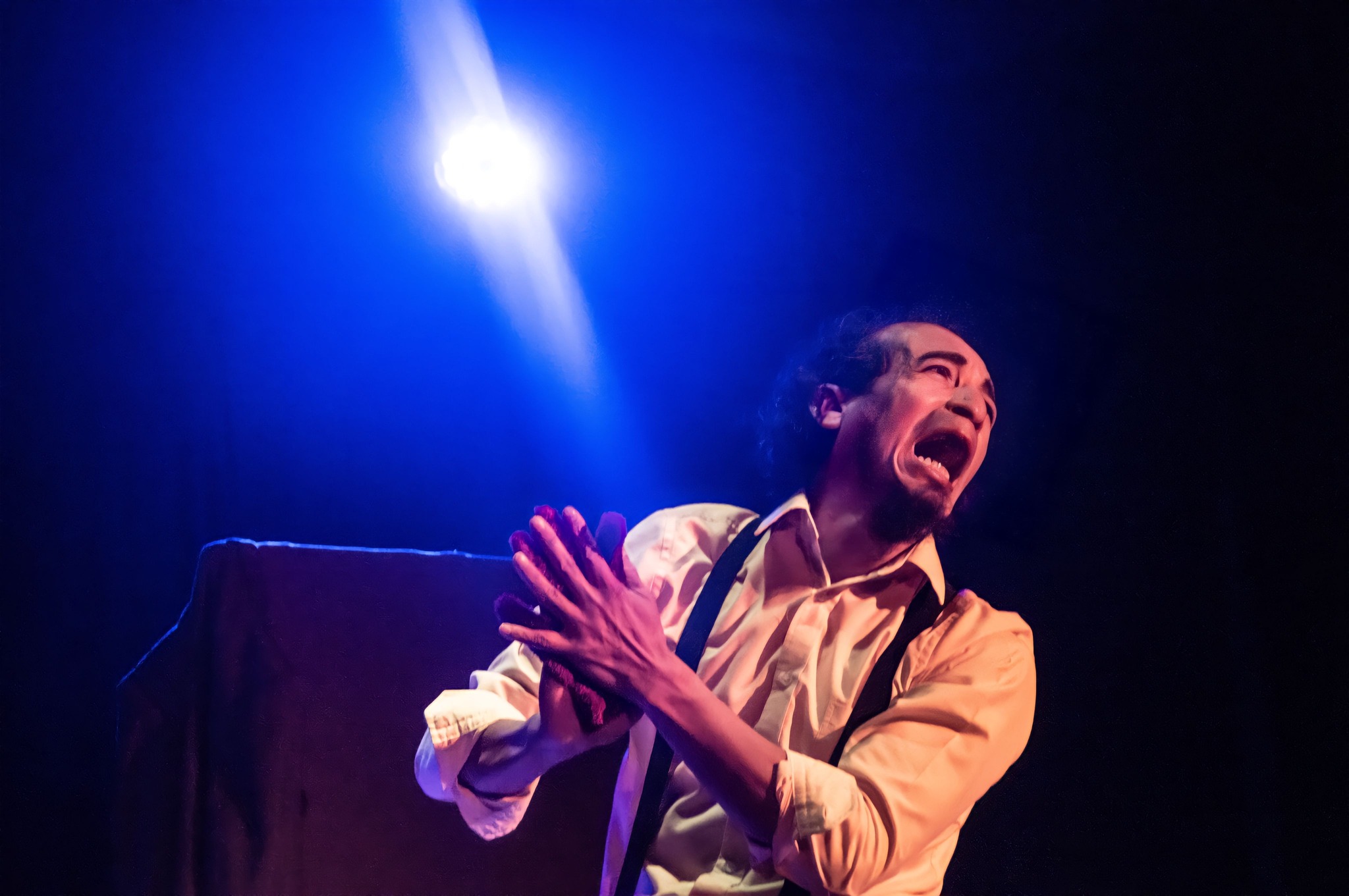 Encuentro Internacional de Mimo y Teatro Gestual La Alegría Del Silencio